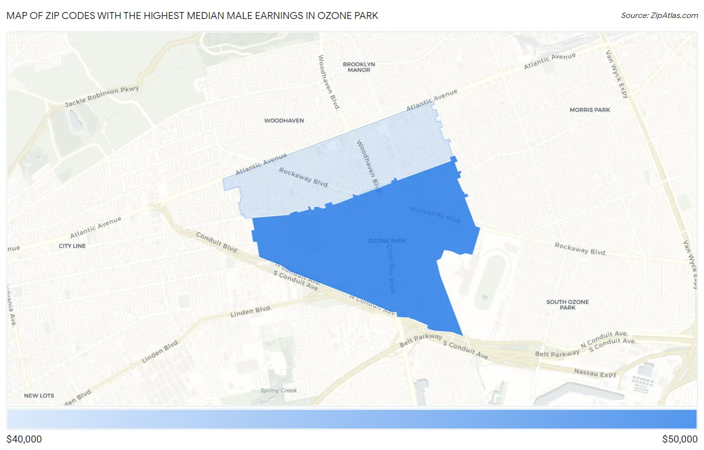 Zip Codes with the Highest Median Male Earnings in Ozone Park Map