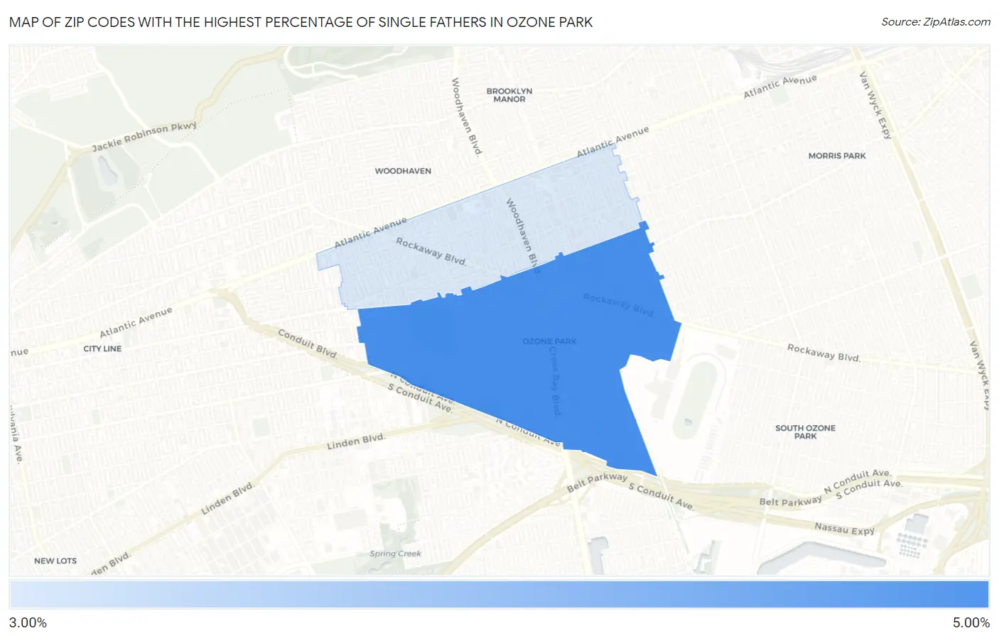 Zip Codes with the Highest Percentage of Single Fathers in Ozone Park Map