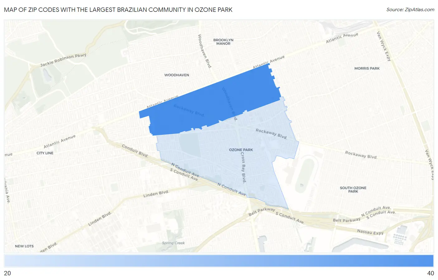 Zip Codes with the Largest Brazilian Community in Ozone Park Map