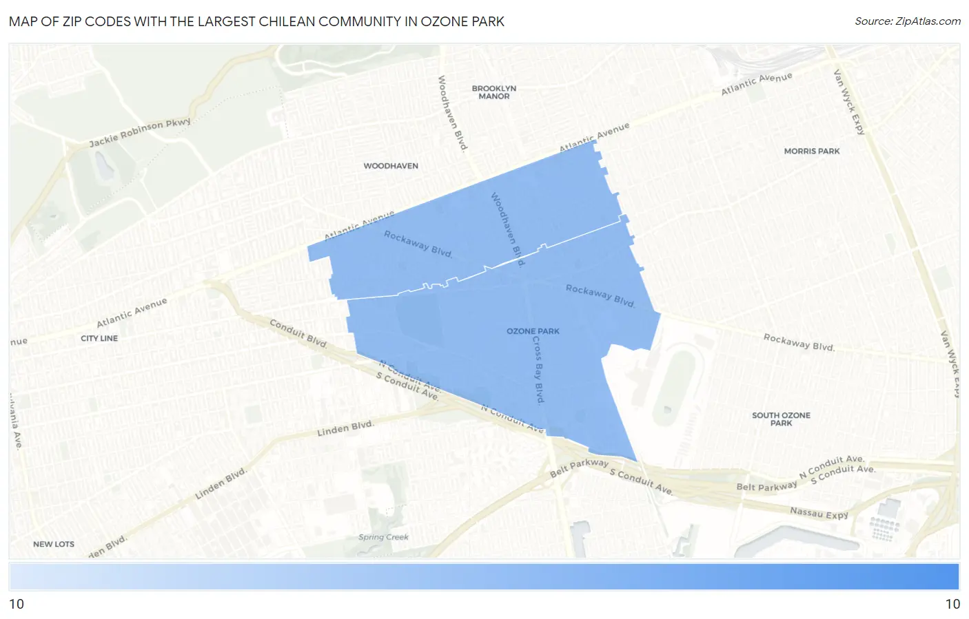 Zip Codes with the Largest Chilean Community in Ozone Park Map
