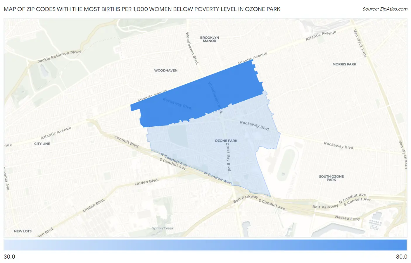 Zip Codes with the Most Births per 1,000 Women Below Poverty Level in Ozone Park Map