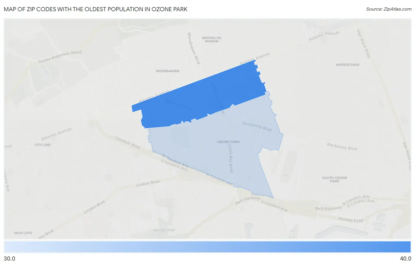 Zip Codes with the Oldest Population in Ozone Park Map