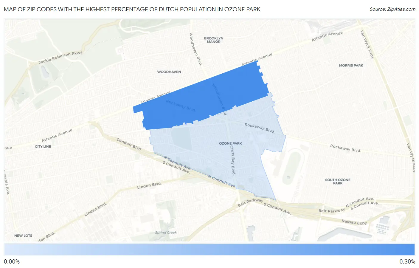 Zip Codes with the Highest Percentage of Dutch Population in Ozone Park Map