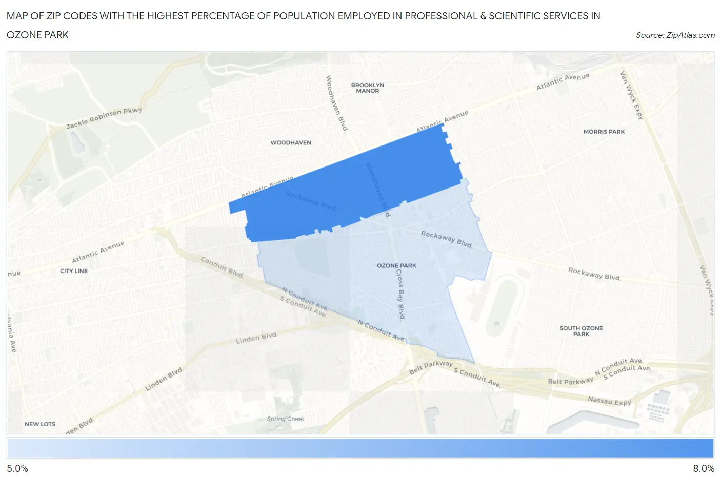 Zip Codes with the Highest Percentage of Population Employed in Professional & Scientific Services in Ozone Park Map
