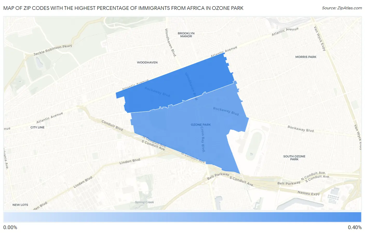 Zip Codes with the Highest Percentage of Immigrants from Africa in Ozone Park Map