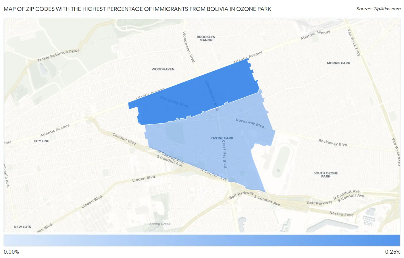 Zip Codes with the Highest Percentage of Immigrants from Bolivia in Ozone Park Map