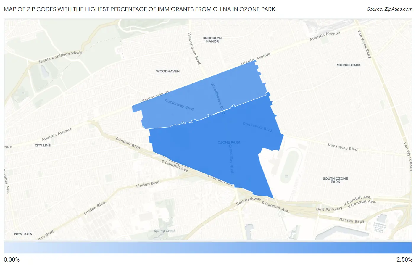 Zip Codes with the Highest Percentage of Immigrants from China in Ozone Park Map
