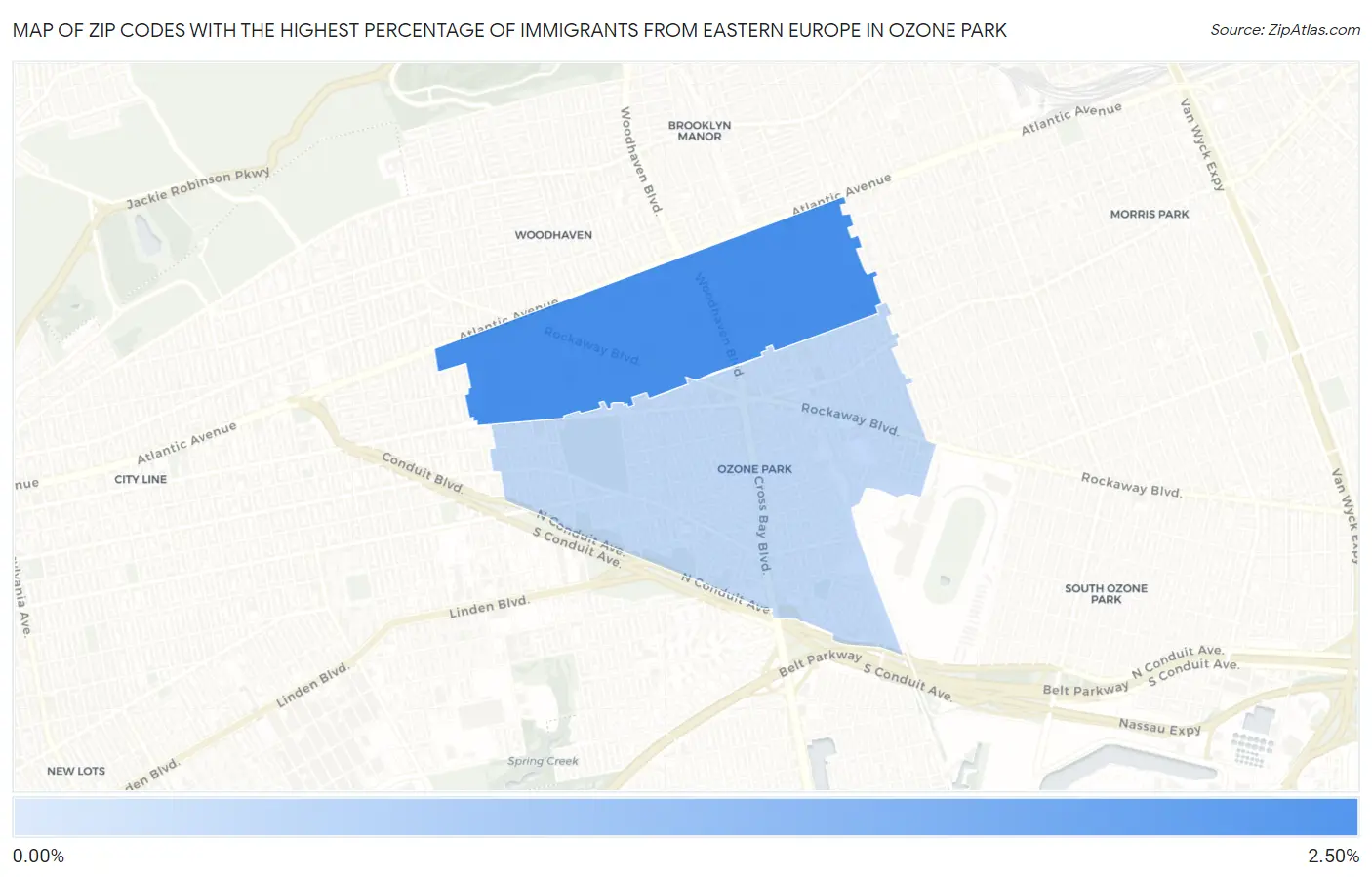 Zip Codes with the Highest Percentage of Immigrants from Eastern Europe in Ozone Park Map