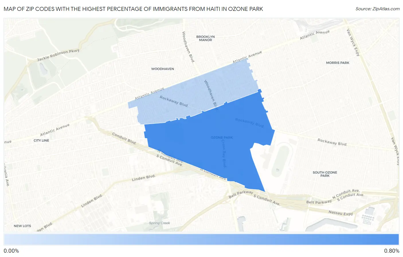 Zip Codes with the Highest Percentage of Immigrants from Haiti in Ozone Park Map