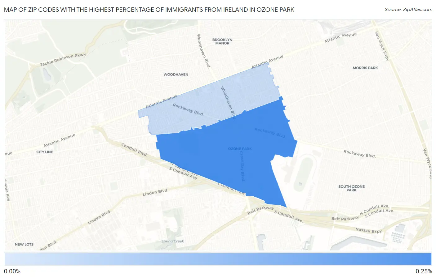 Zip Codes with the Highest Percentage of Immigrants from Ireland in Ozone Park Map