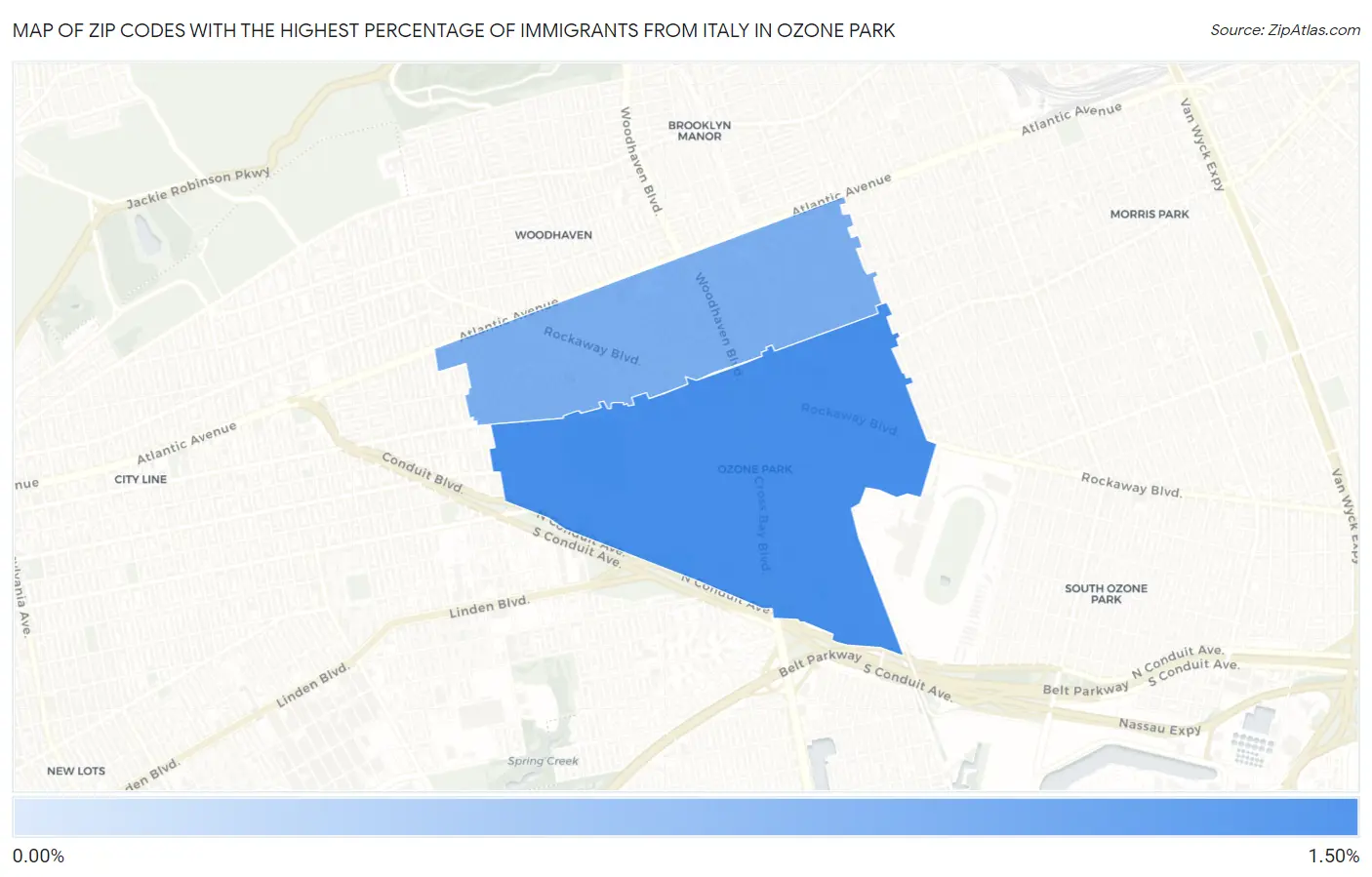 Zip Codes with the Highest Percentage of Immigrants from Italy in Ozone Park Map