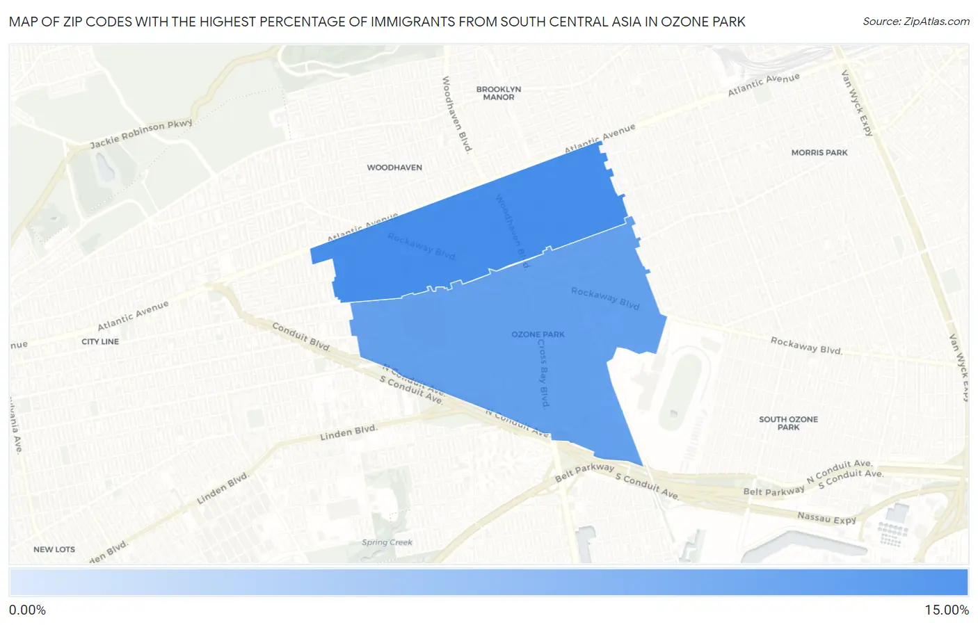 Zip Codes with the Highest Percentage of Immigrants from South Central Asia in Ozone Park Map