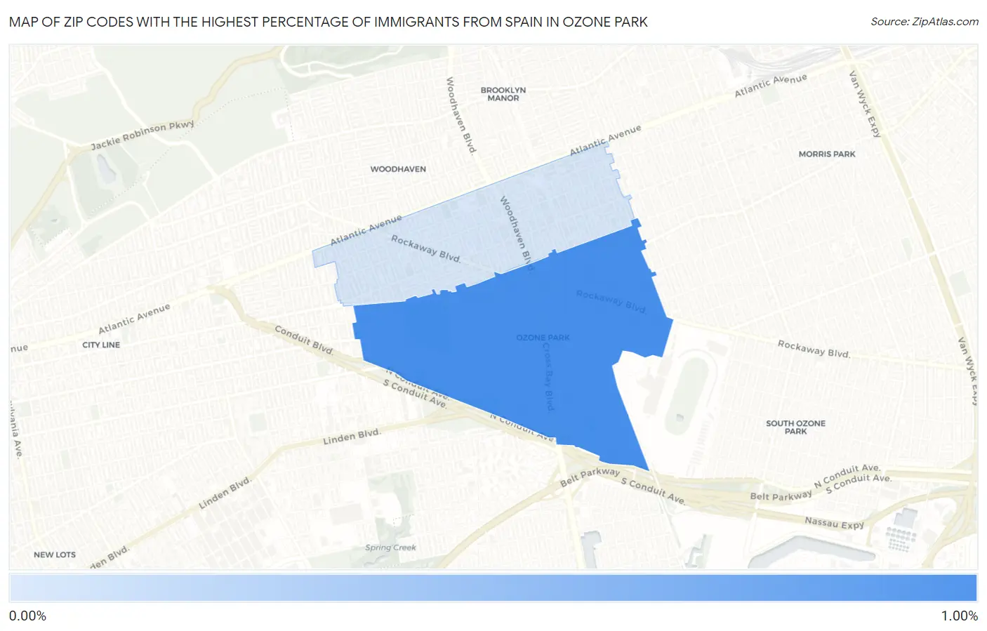 Zip Codes with the Highest Percentage of Immigrants from Spain in Ozone Park Map