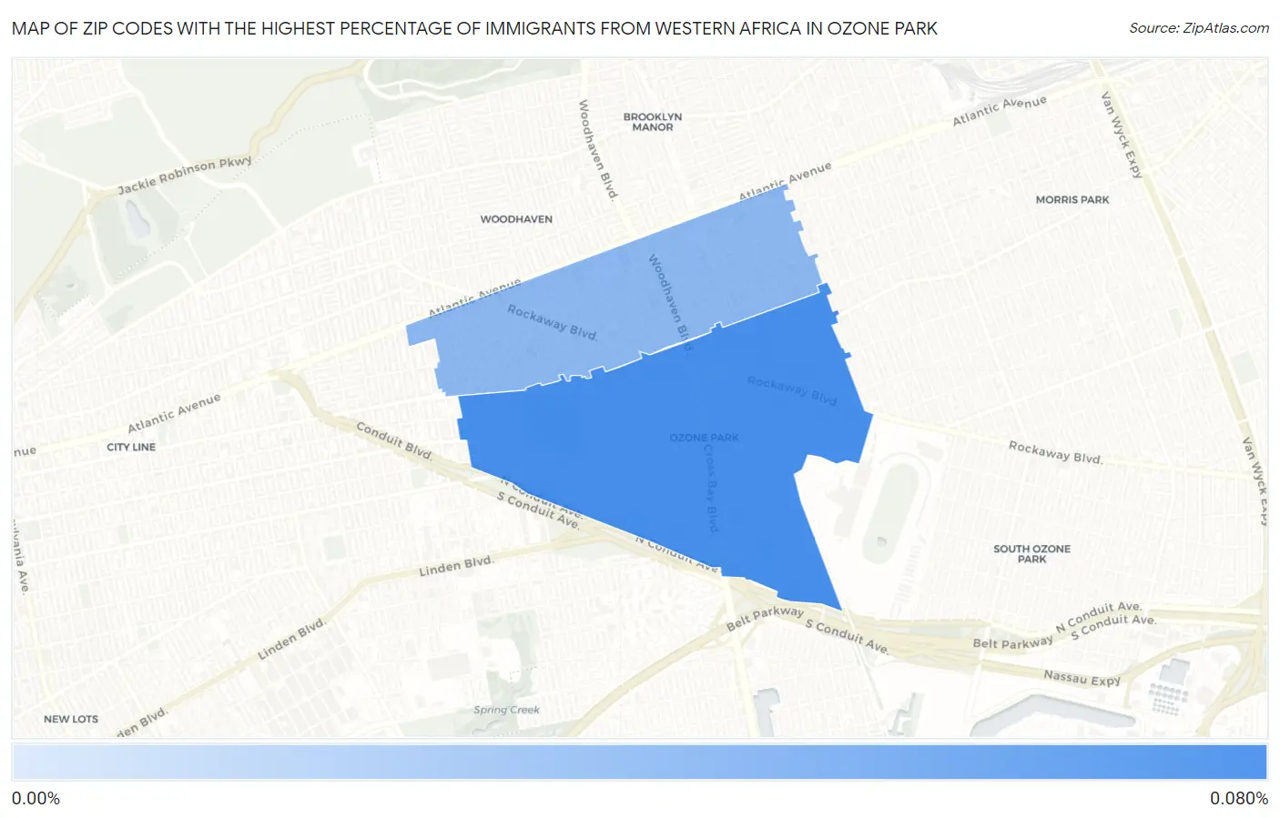 Zip Codes with the Highest Percentage of Immigrants from Western Africa in Ozone Park Map