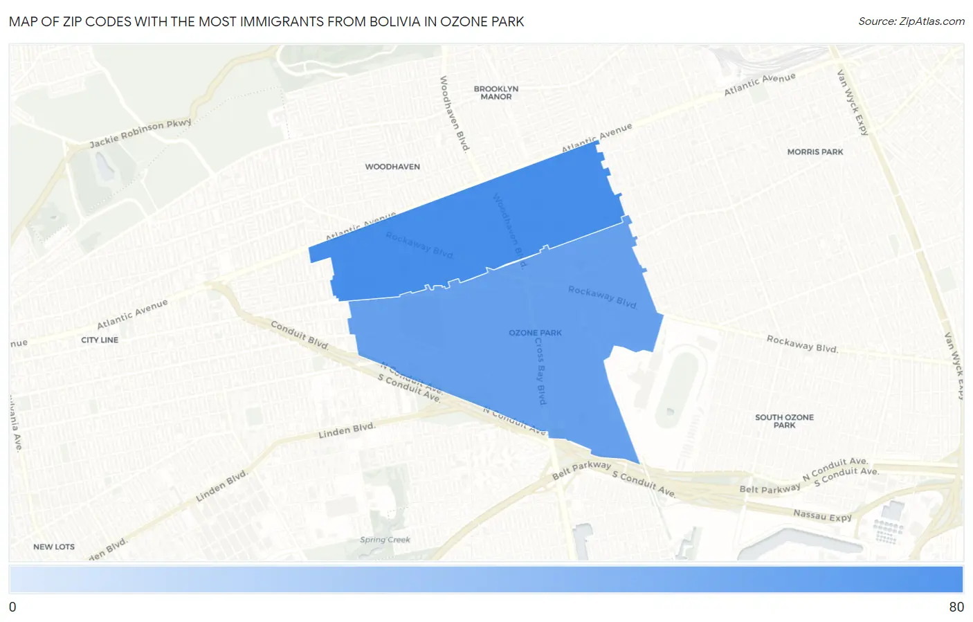 Zip Codes with the Most Immigrants from Bolivia in Ozone Park Map