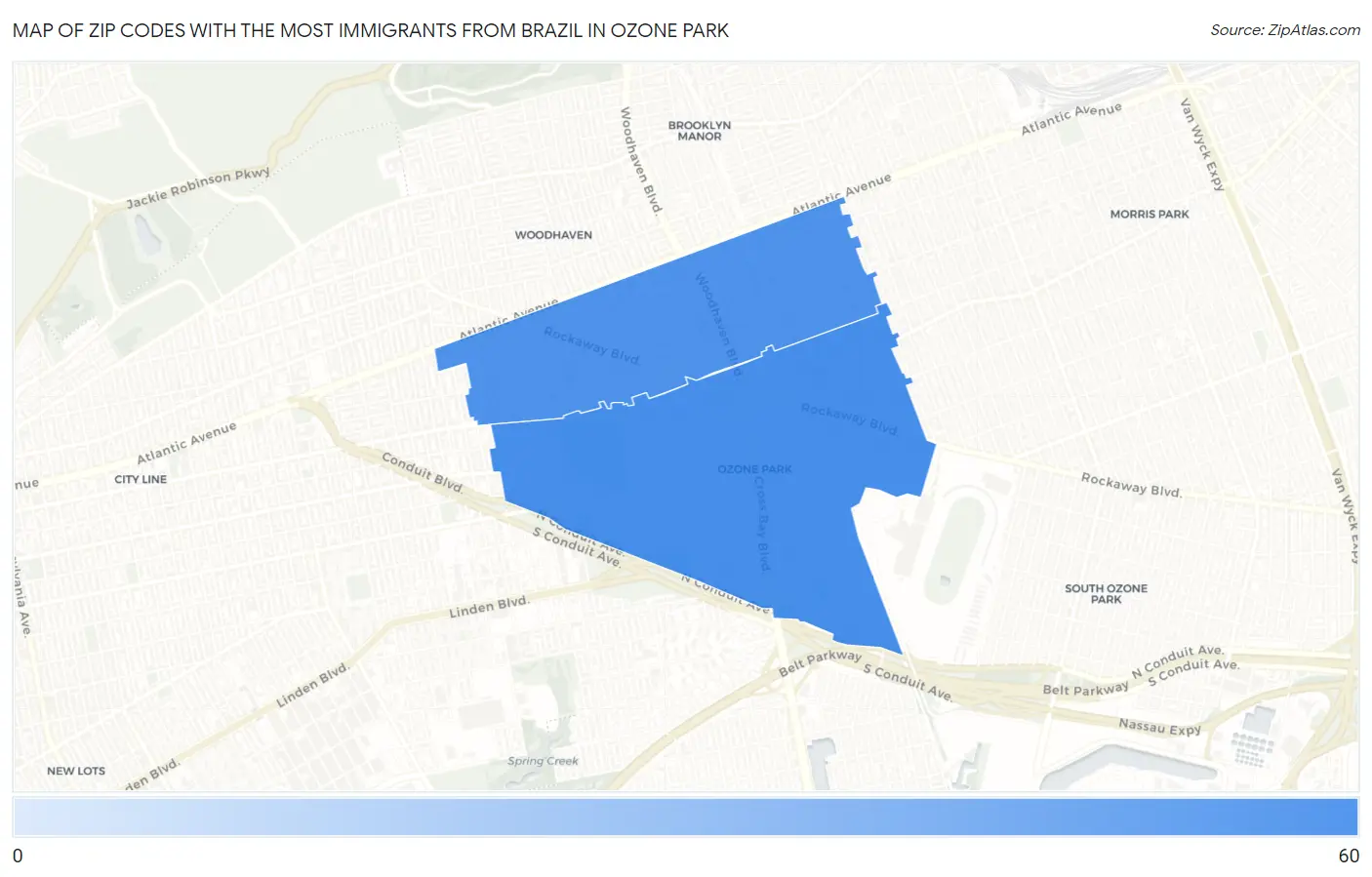 Zip Codes with the Most Immigrants from Brazil in Ozone Park Map