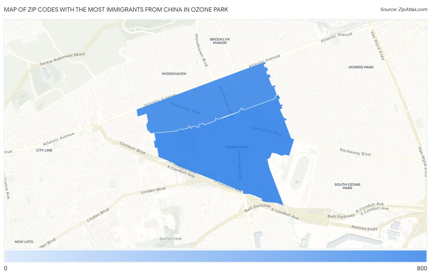 Zip Codes with the Most Immigrants from China in Ozone Park Map