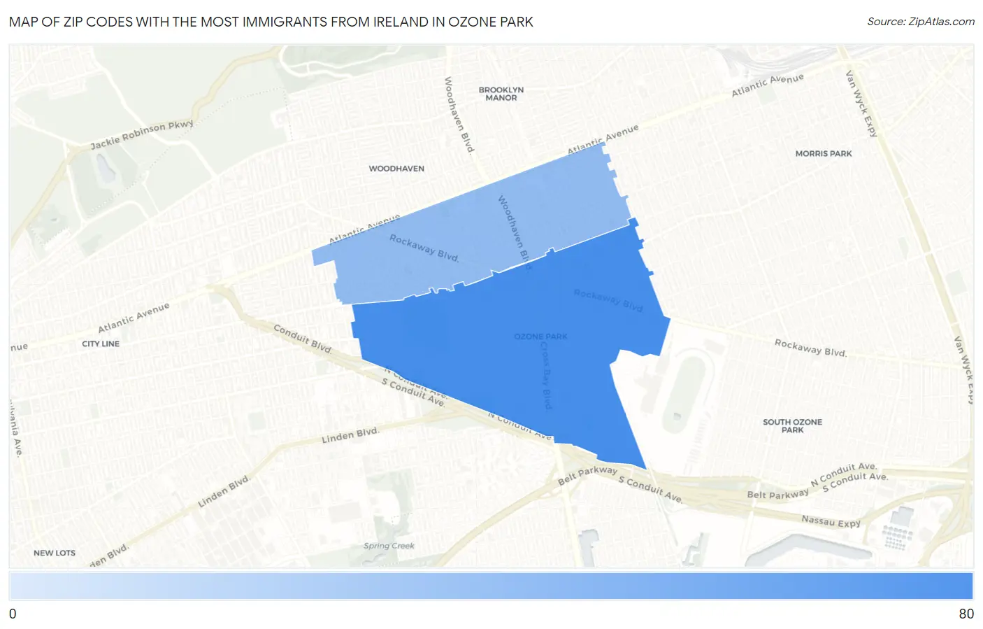 Zip Codes with the Most Immigrants from Ireland in Ozone Park Map