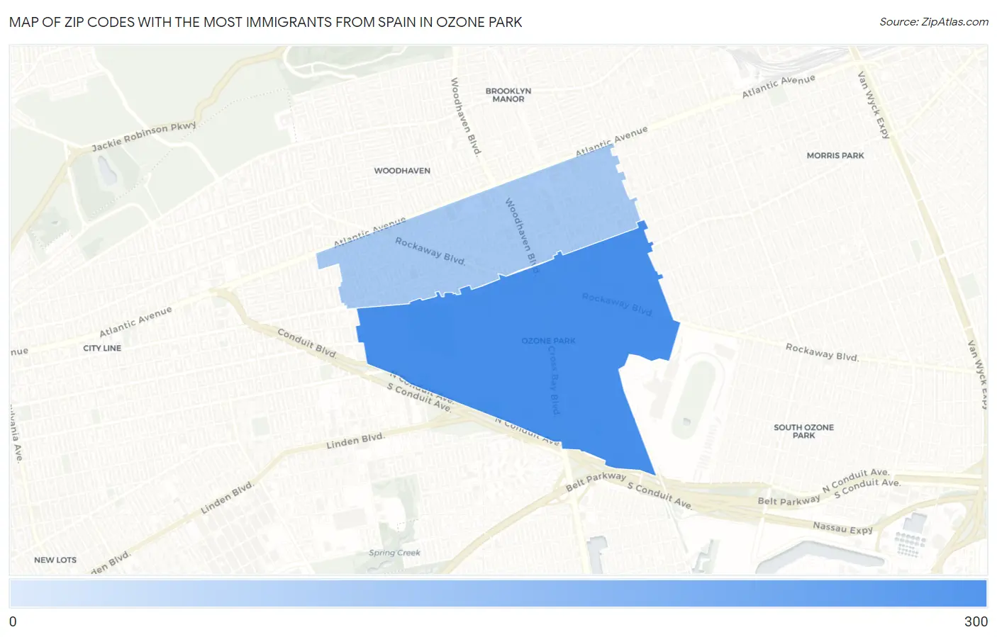 Zip Codes with the Most Immigrants from Spain in Ozone Park Map