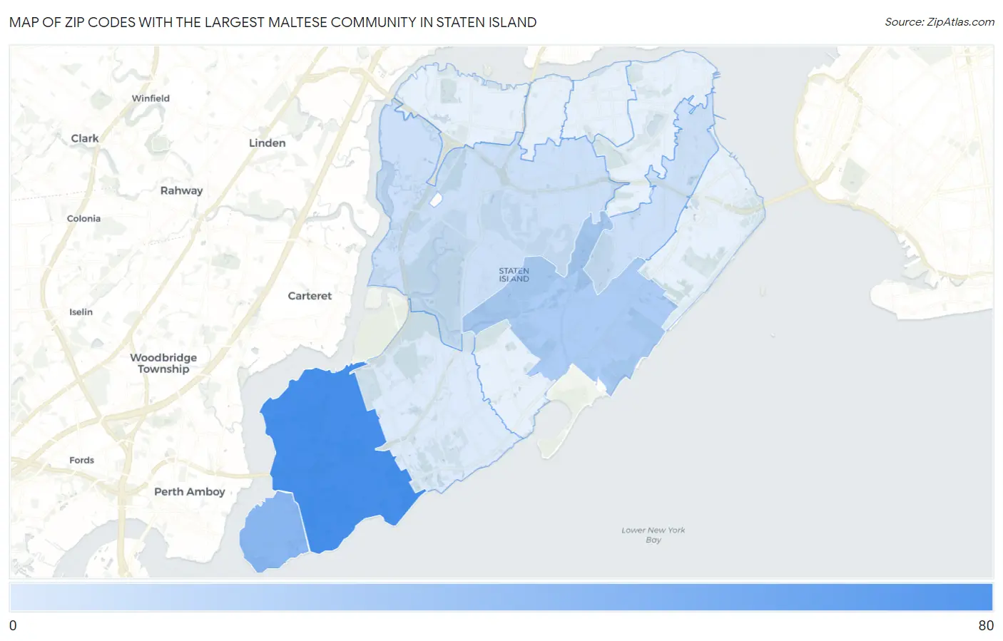 Zip Codes with the Largest Maltese Community in Staten Island Map