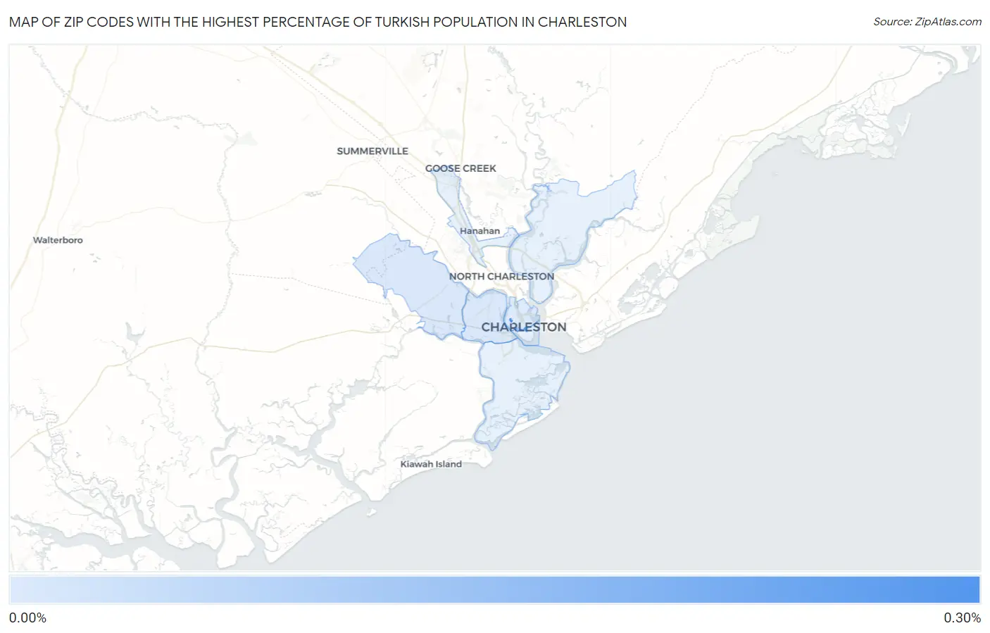 Zip Codes with the Highest Percentage of Turkish Population in Charleston Map