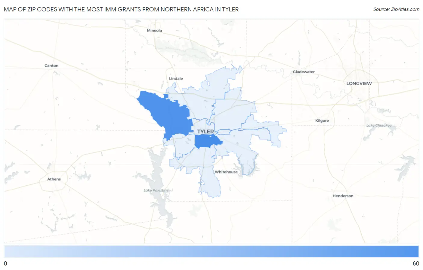 Zip Codes with the Most Immigrants from Northern Africa in Tyler Map