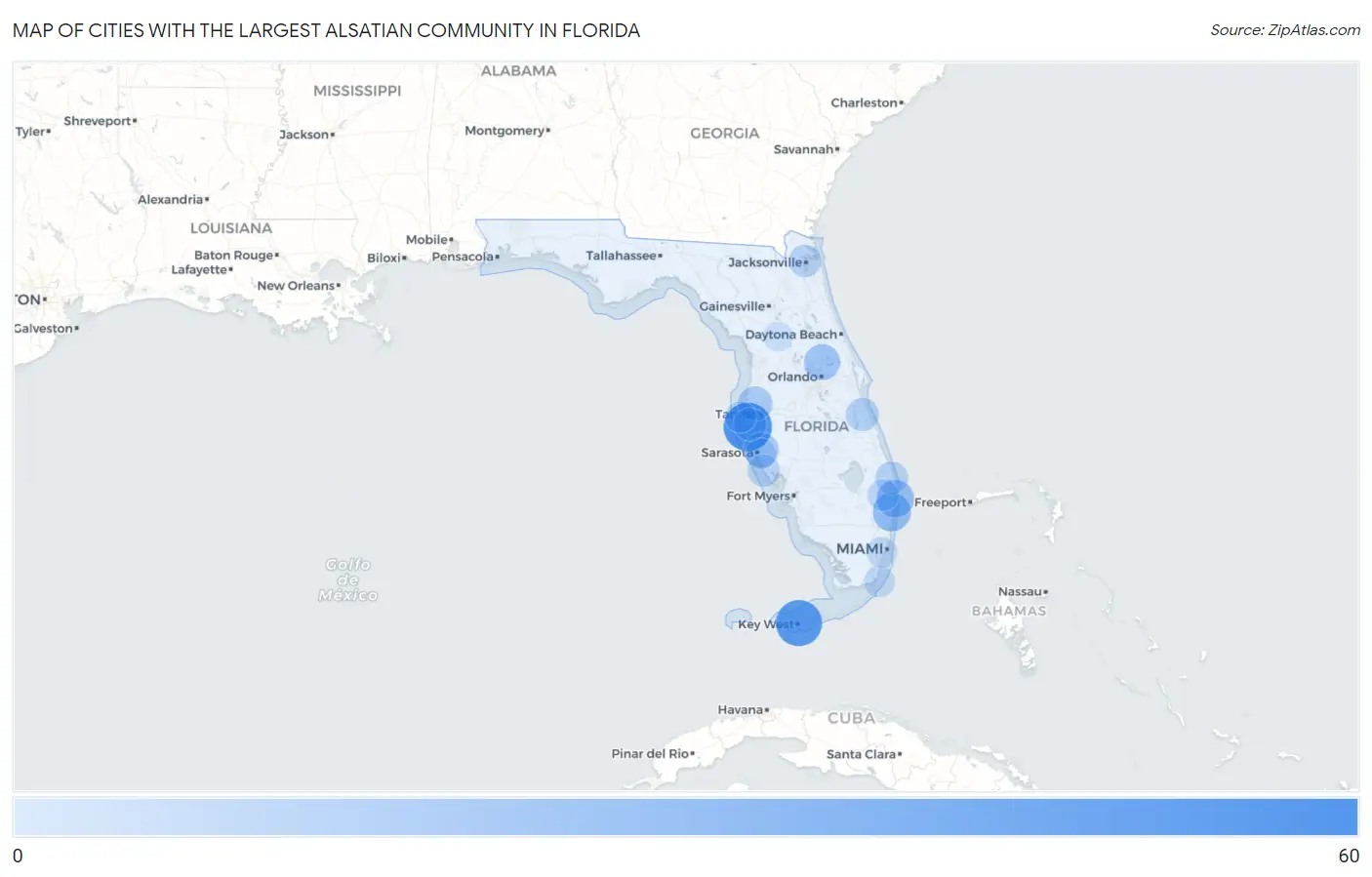 Cities with the Largest Alsatian Community in Florida Map