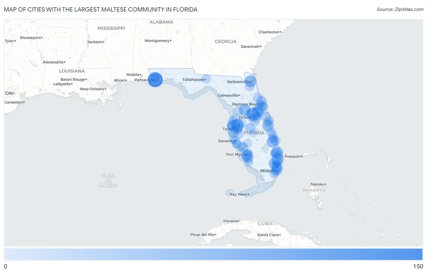 Cities with the Largest Maltese Community in Florida Map