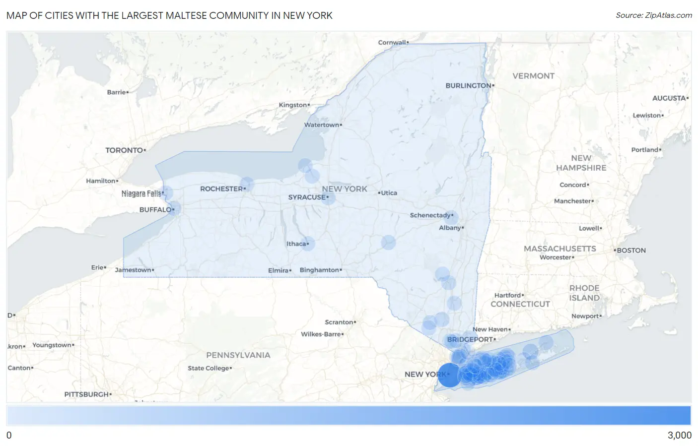 Cities with the Largest Maltese Community in New York Map
