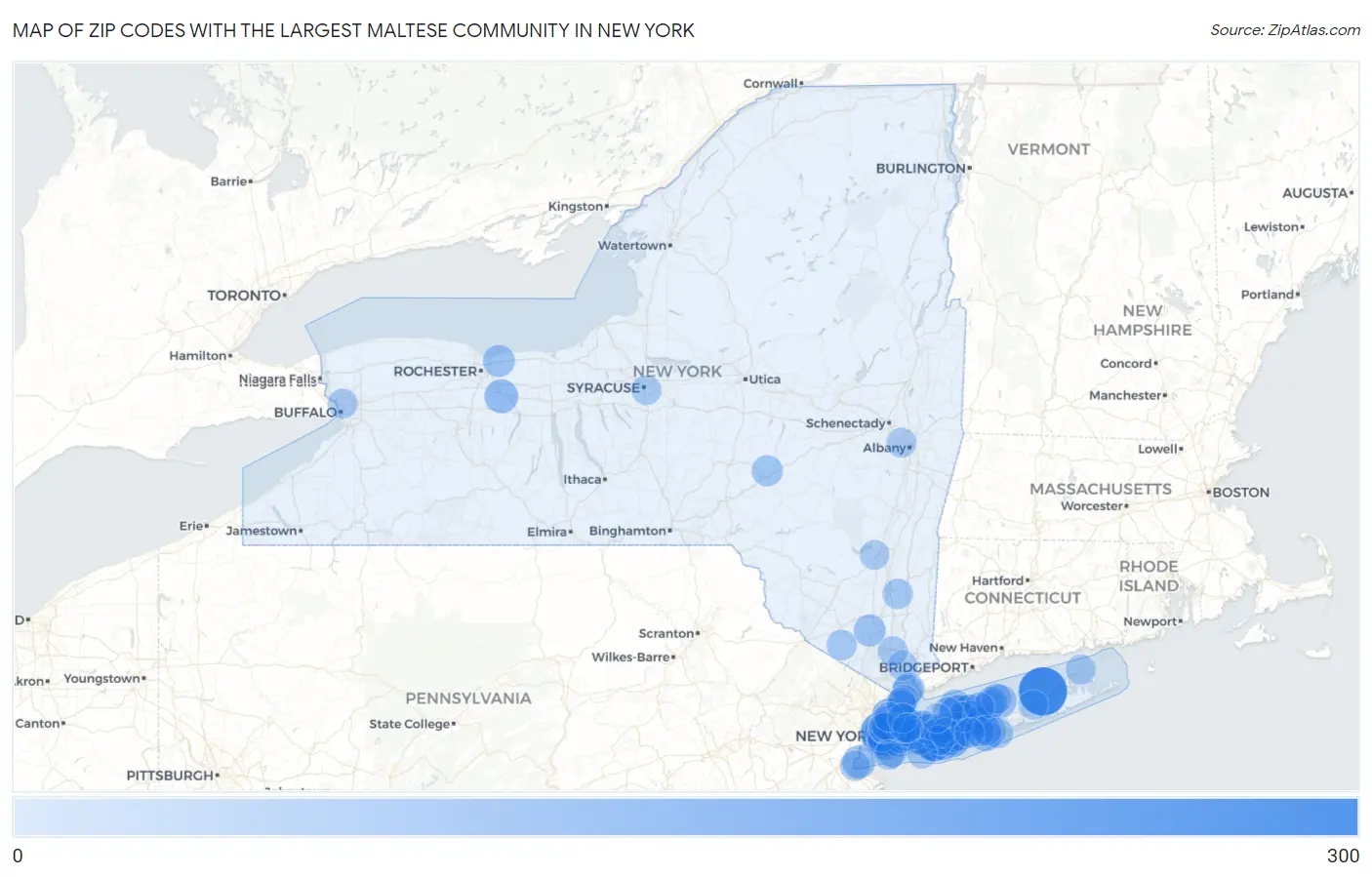 Zip Codes with the Largest Maltese Community in New York Map