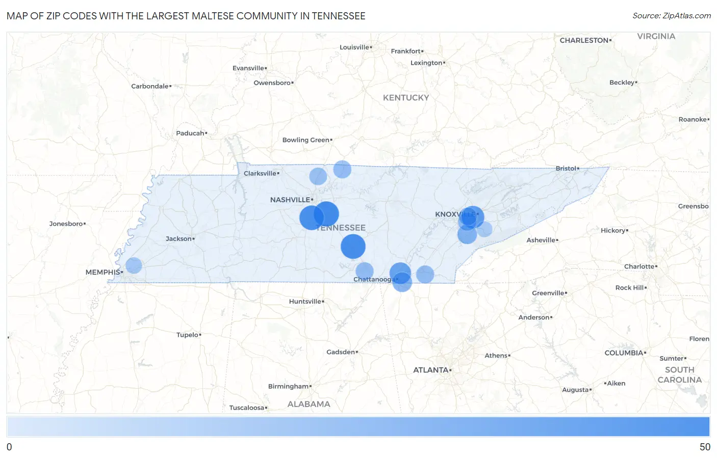 Zip Codes with the Largest Maltese Community in Tennessee Map