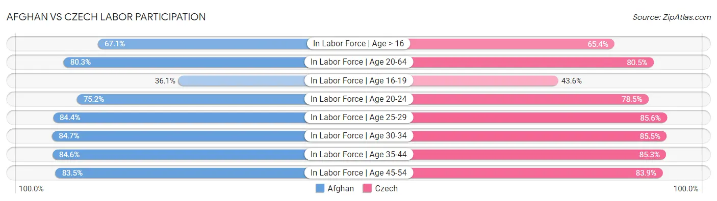 Afghan vs Czech Labor Participation