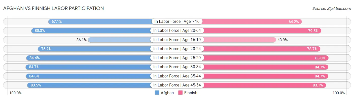 Afghan vs Finnish Labor Participation
