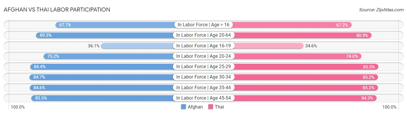 Afghan vs Thai Labor Participation