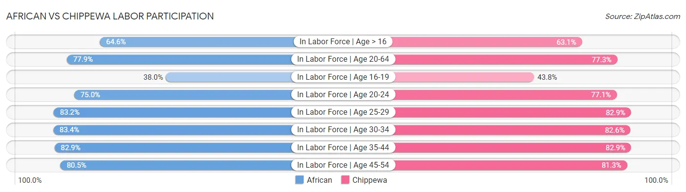 African vs Chippewa Labor Participation