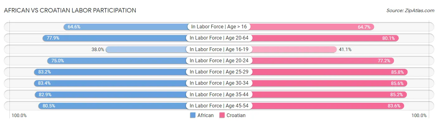 African vs Croatian Labor Participation
