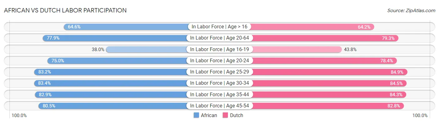 African vs Dutch Labor Participation