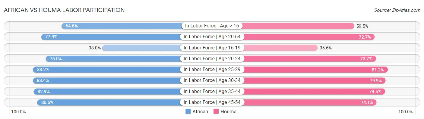 African vs Houma Labor Participation