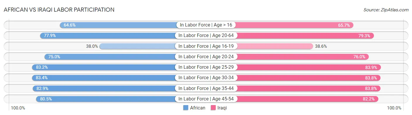 African vs Iraqi Labor Participation