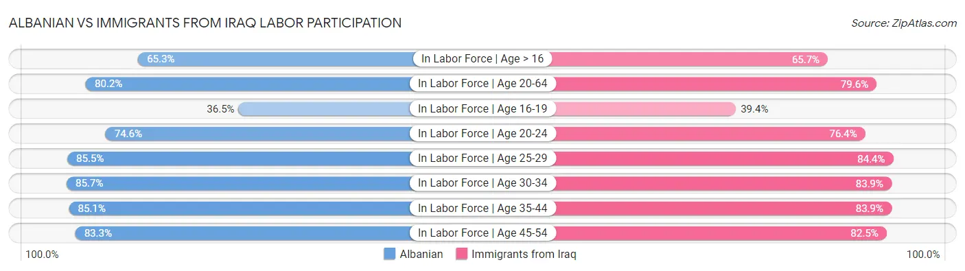 Albanian vs Immigrants from Iraq Labor Participation