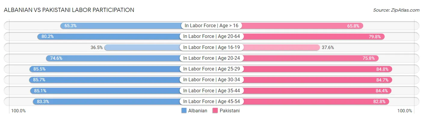 Albanian vs Pakistani Labor Participation