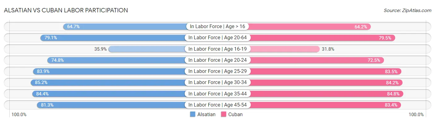 Alsatian vs Cuban Labor Participation