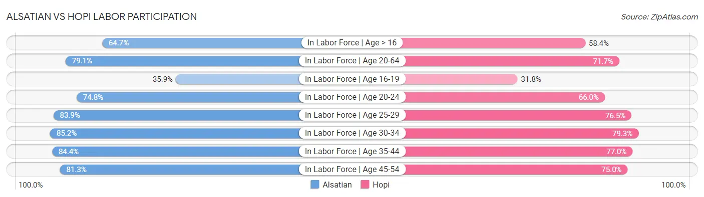 Alsatian vs Hopi Labor Participation