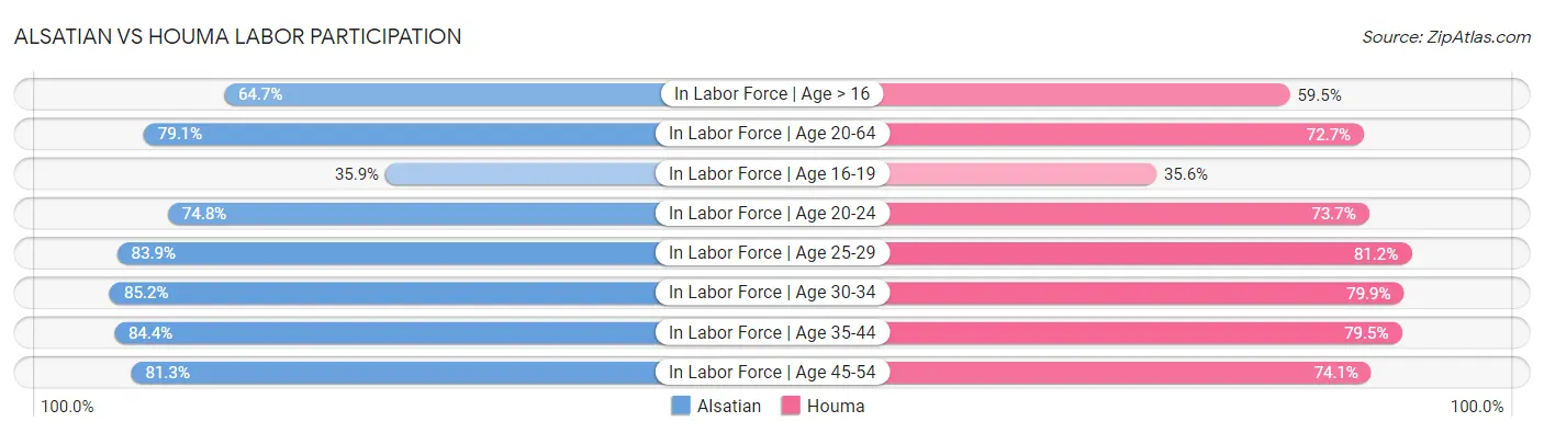 Alsatian vs Houma Labor Participation