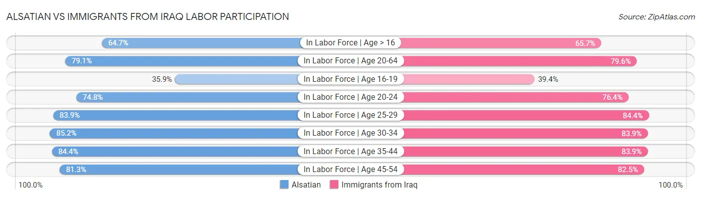 Alsatian vs Immigrants from Iraq Labor Participation