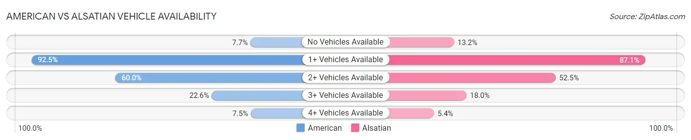 American vs Alsatian Vehicle Availability