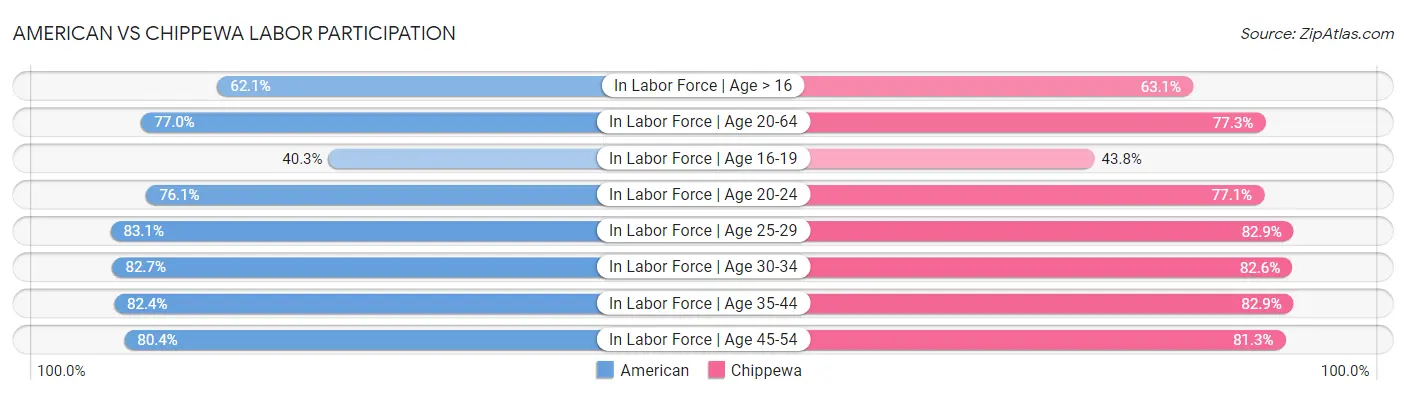 American vs Chippewa Labor Participation