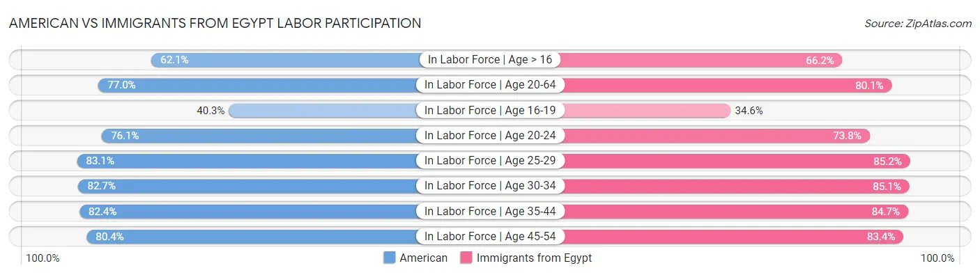 American vs Immigrants from Egypt Labor Participation