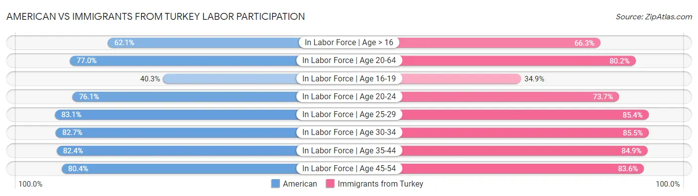 American vs Immigrants from Turkey Labor Participation