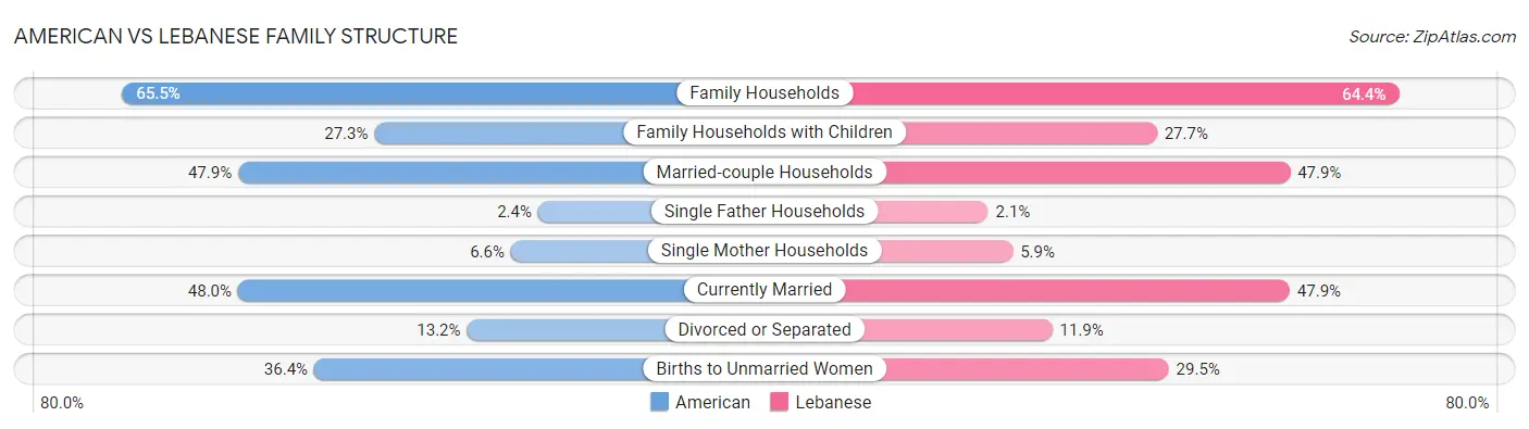 American vs Lebanese Family Structure